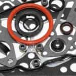 Pieces of a head gasket arrayed on a white background.