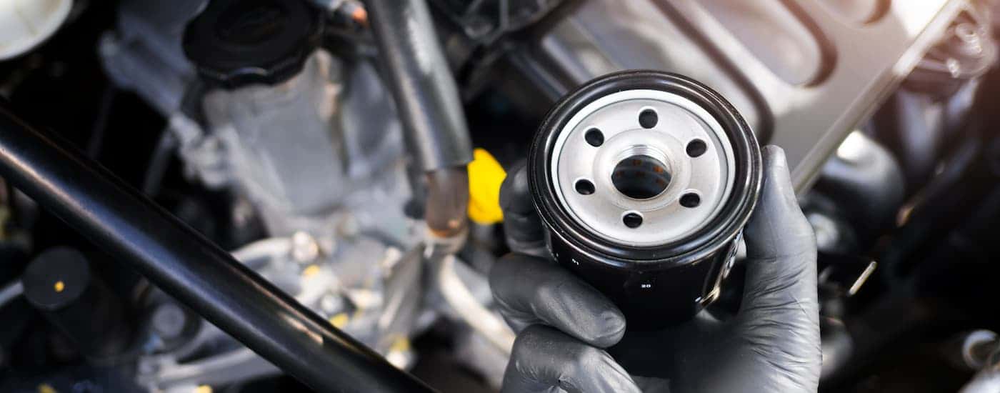 A mechanic holding a vehicle's oil filter.