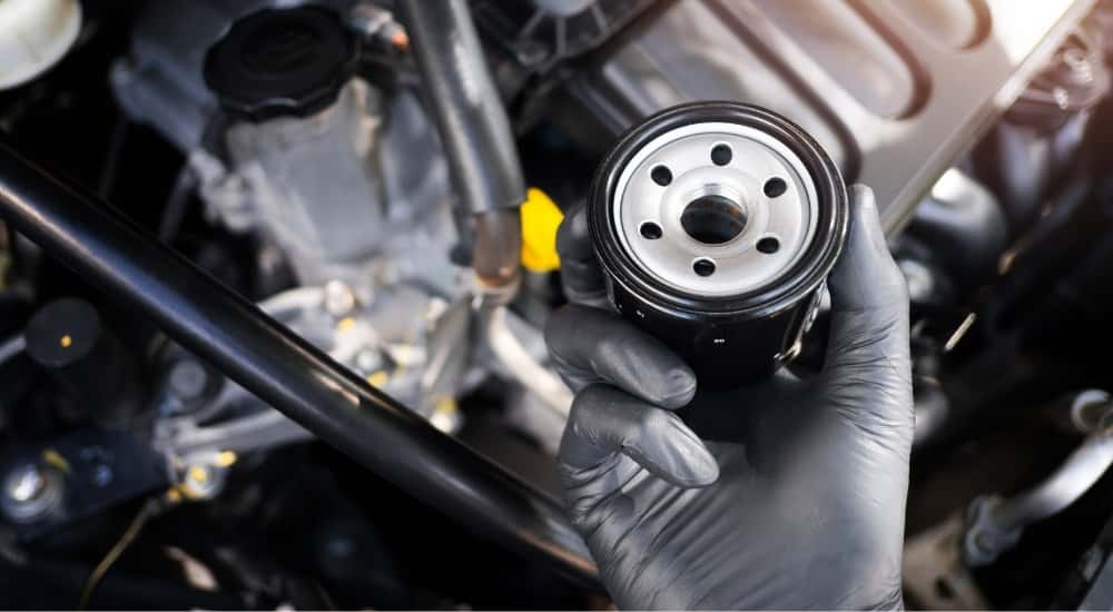 Technician holding a filter during oil change near Grayson