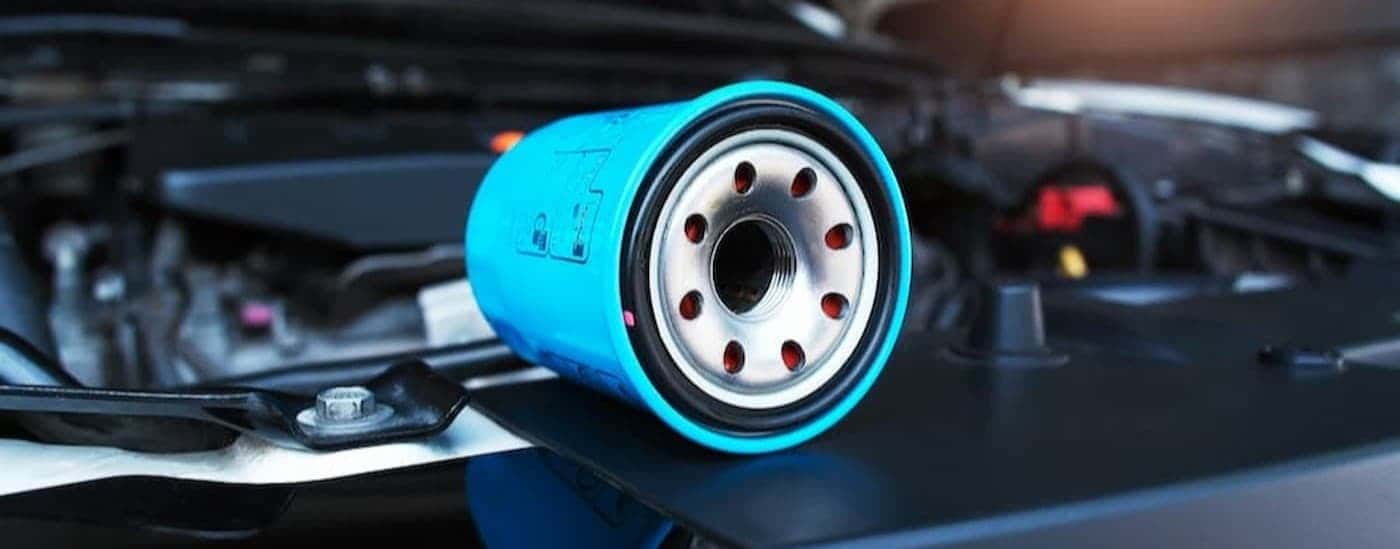 A blue oil filter near an engine bay.
