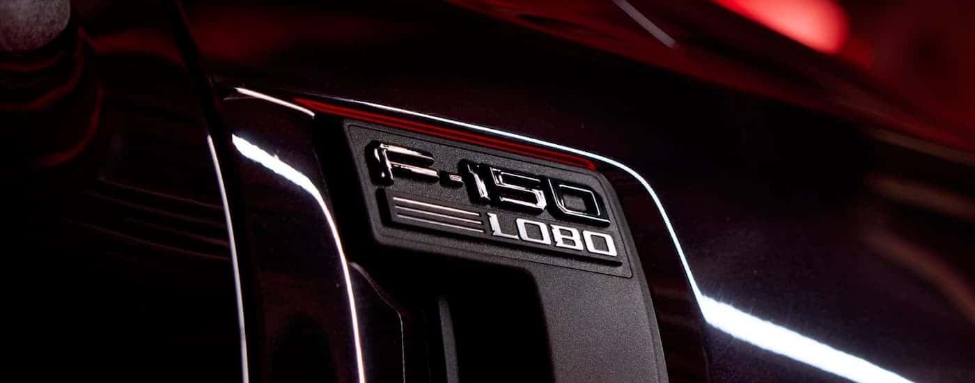 Close-up of the badging on a 2025 Ford F-150 STX Lobo Package