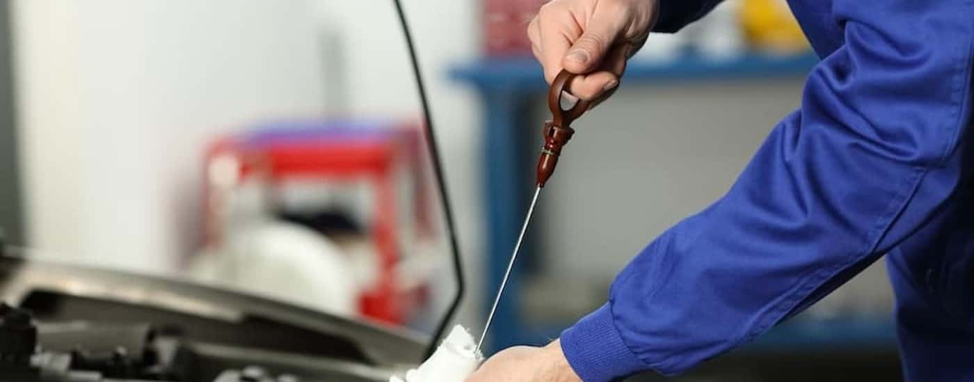 A technician holding a dipstick.