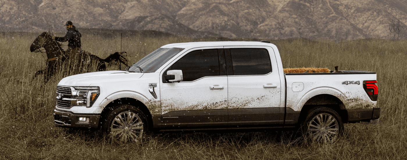 White 2026 Ford F-150 driving next to a horse