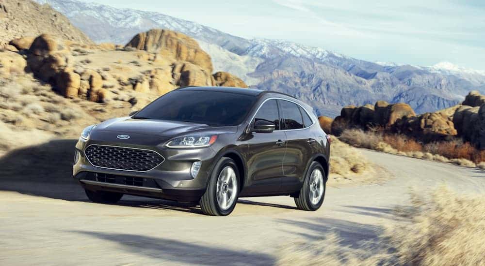 Grey 2020 Ford Escape driving on a desert road.
