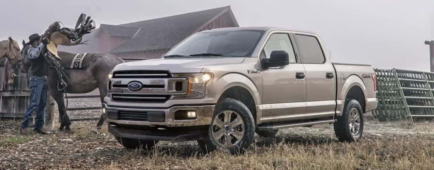 A used silver 2018 Ford F-150 on a quiet ranch on a foggy day.