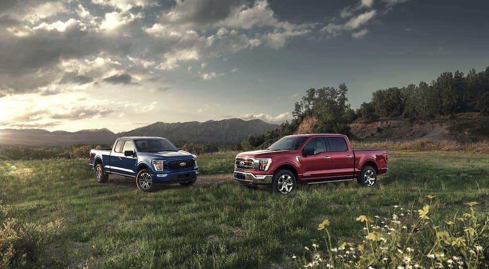 Which One’s Better?: Ford F-150 vs. Toyota Tundra | Miracle Ford