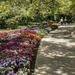 leu gardens