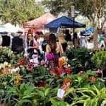 farmer's markets