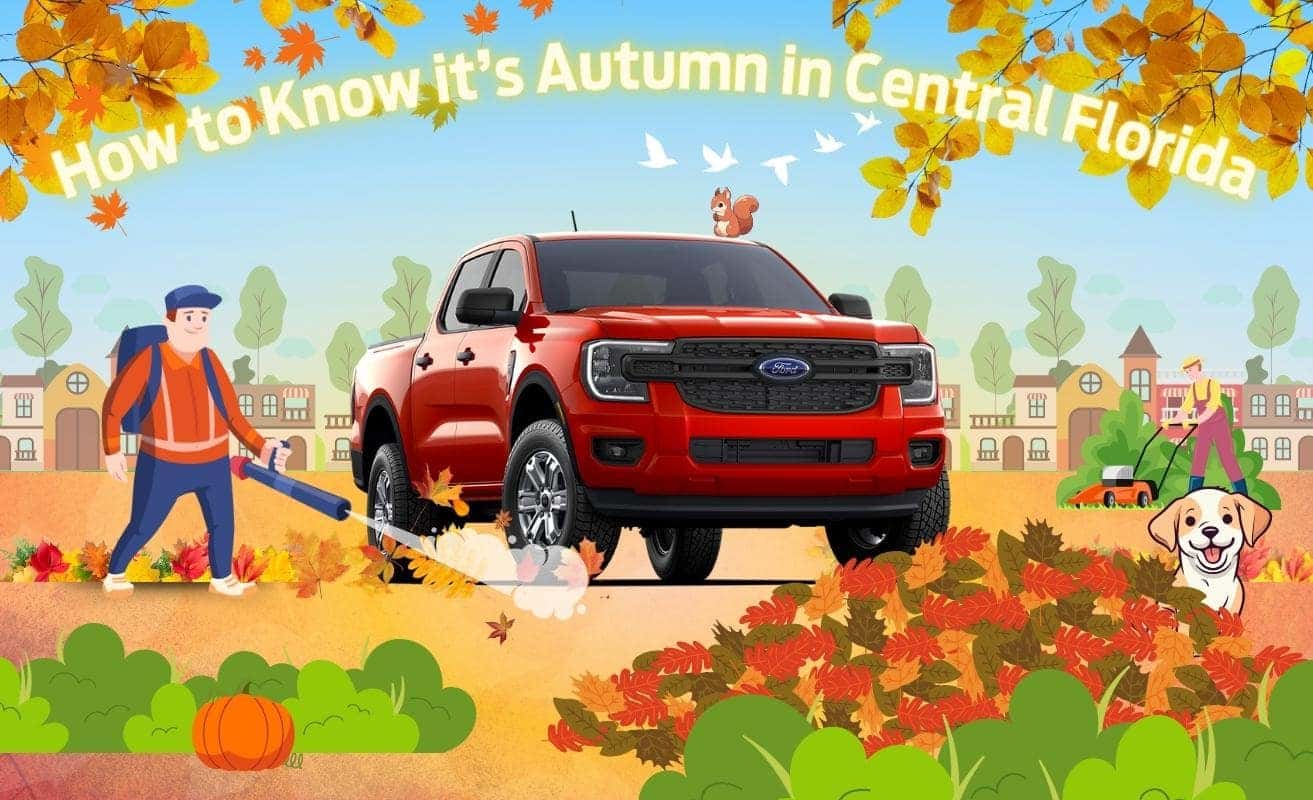 How To Know It's Autumn