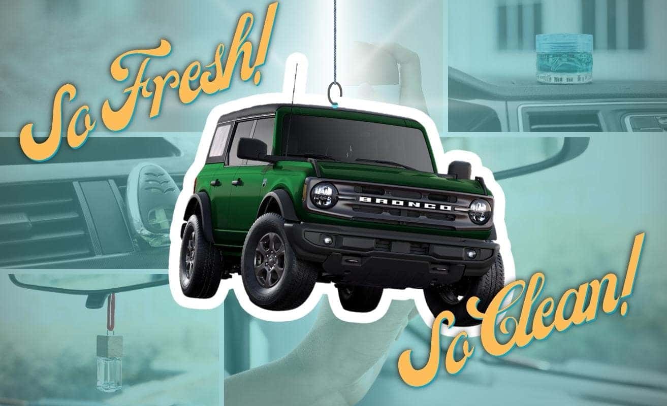 Vehicle Air Fresheners