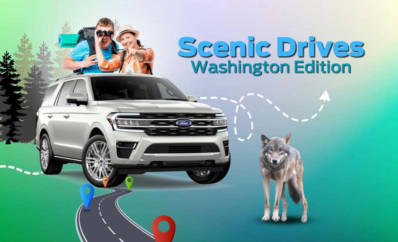 Scenic Drives Washington