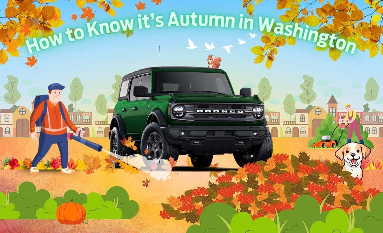 How To Know It's Autumn
