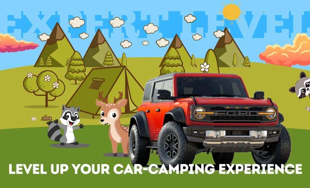 expert car camping
