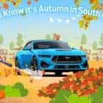 How To Know It's Autumn