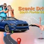 Scenic Drives Of South Florida