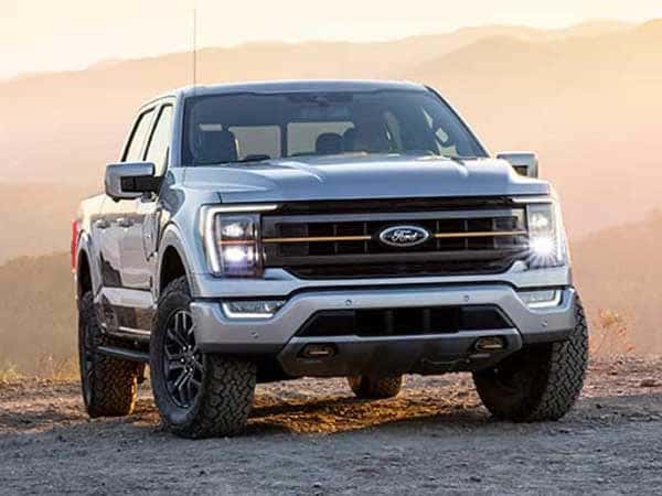 F-150 Tremor White in Desert