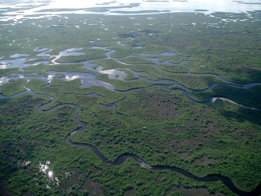 everglades aerial view