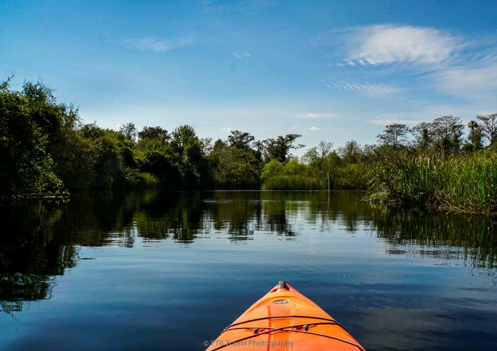 kayaking on the big cypress national preserve