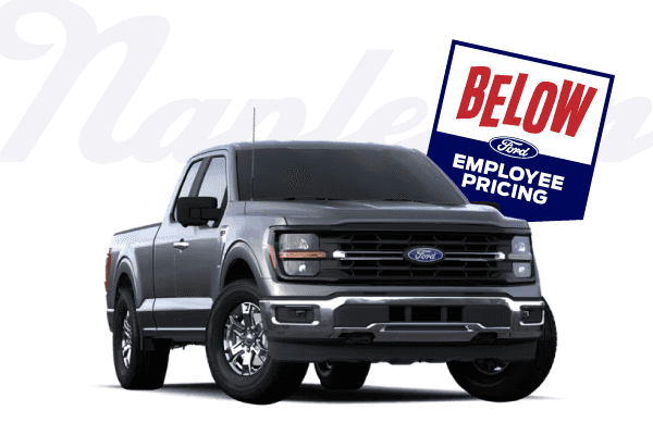 <strong> 2024 F-150 XLT </strong>