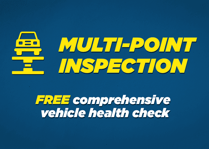 multi point inspection