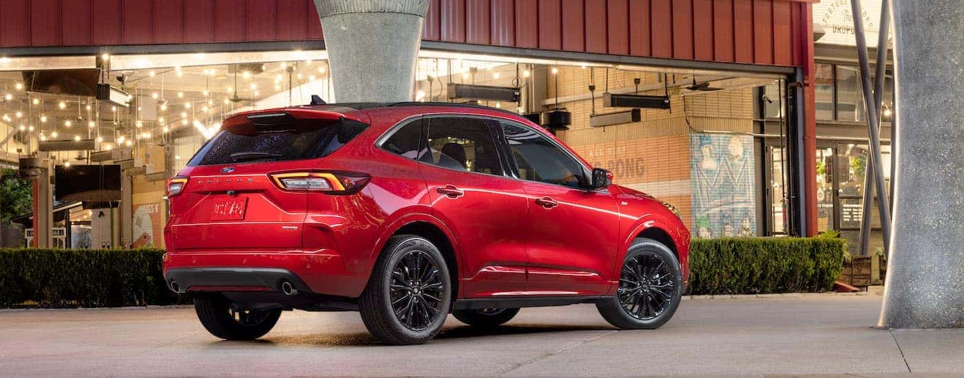 A red 2025 Ford Escape ST-Line from the rear at an angle.