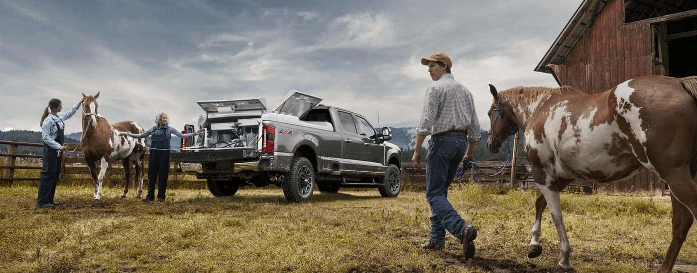A person walking a horse up to a silver 2023 Ford F-350 Super Duty