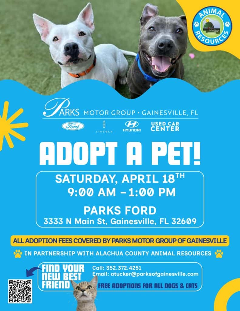 adopt a pet