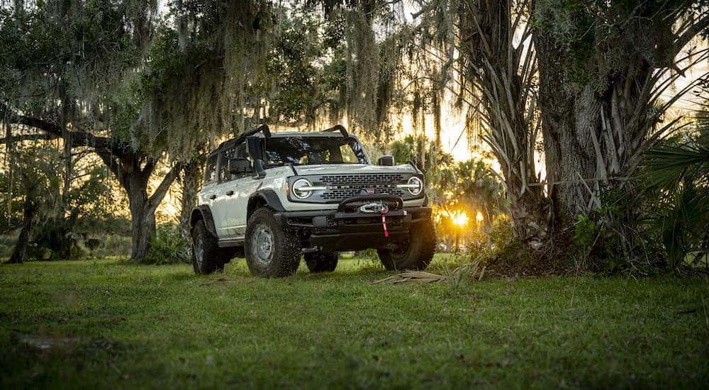 A 2022 Ford Bronco Everglades is parked on grass after leaving a Lansing Ford dealer.