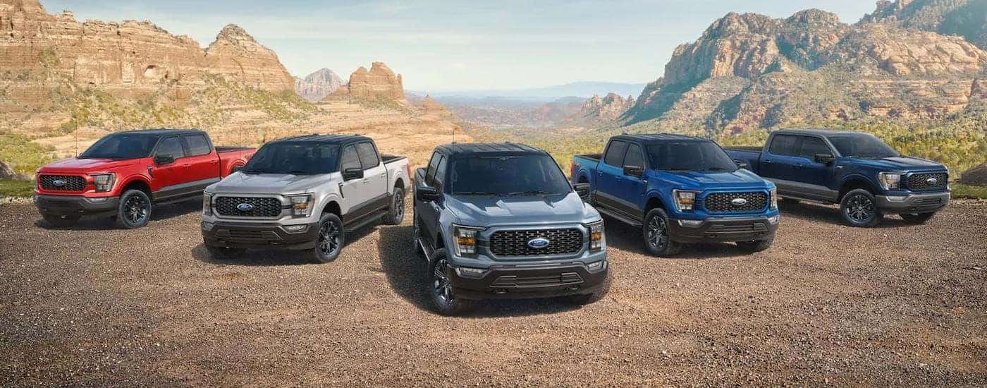 A lineup of five 2023 Ford F-150s for sale are shown near mountains.