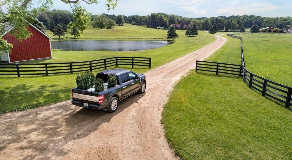 A gray 2021 Ford F-150 Hybrid is driving to a used truck dealer near Lansing.
