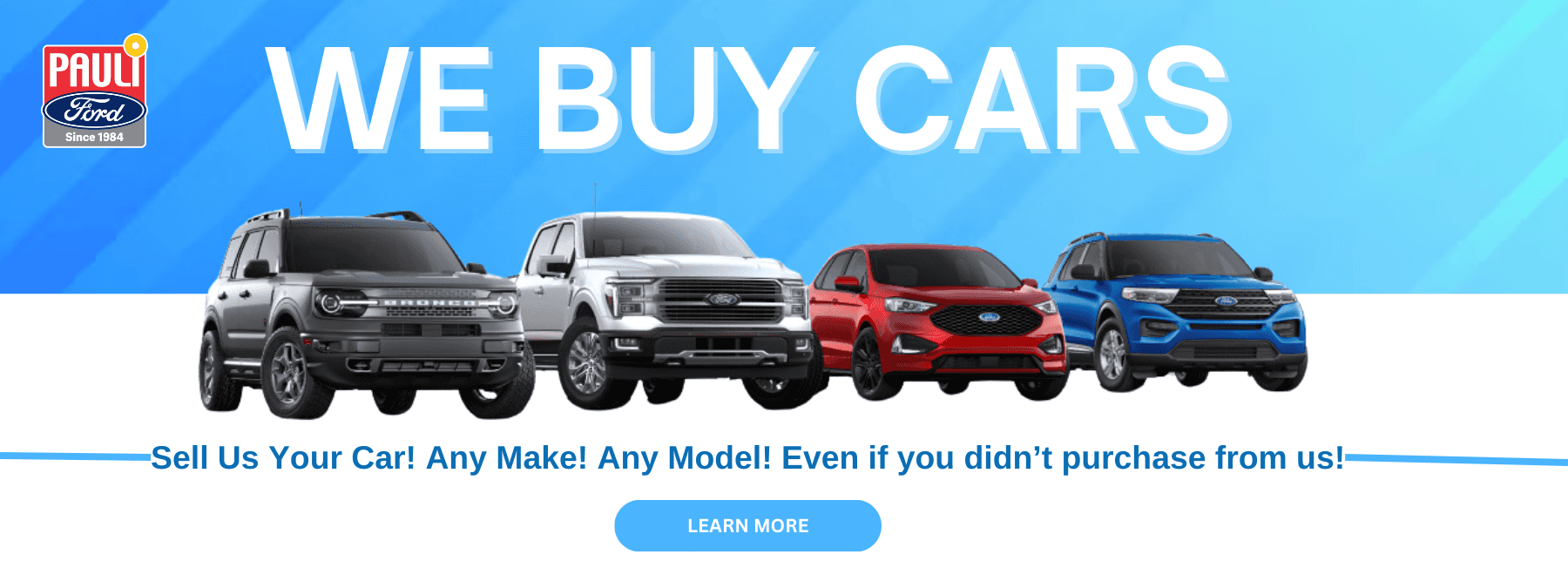 Pauli-Ford&#8211;We-Buy-Cars-HP-1.1&#8211;1-