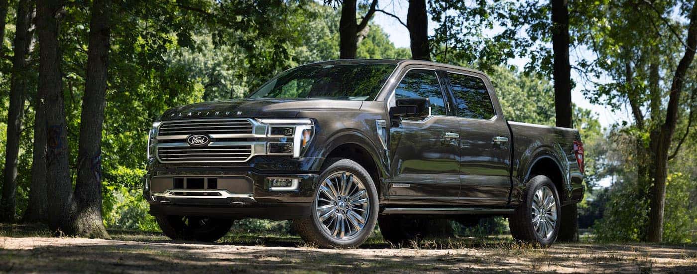 A grey 2024 Ford F-150 from the side.