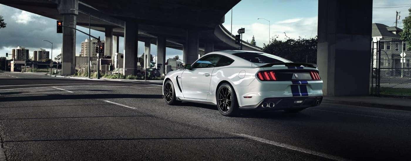 White 2020 Ford Mustang GT350 after leaving a dealership with used Fords for sale