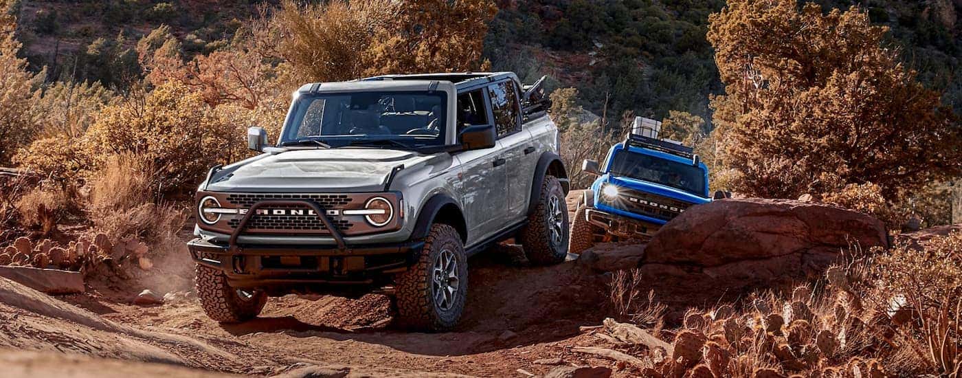 A gray and a blue 2026 Ford Bronco off-roading