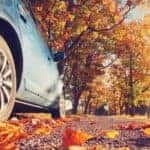 A car is shown driving through leaves.