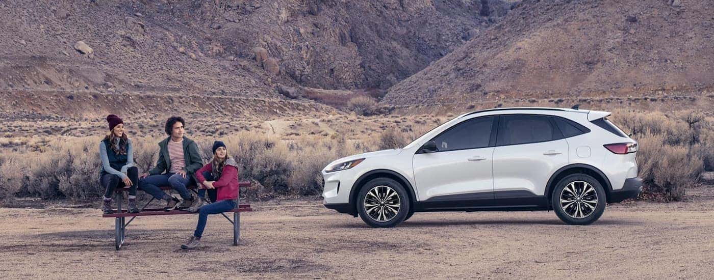 A white 2022 Ford Escape SE is shown from the side parked near a hiking trail.