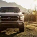 A silver 2022 Ford F-150 Limited is shown from the front parked on a grass field.