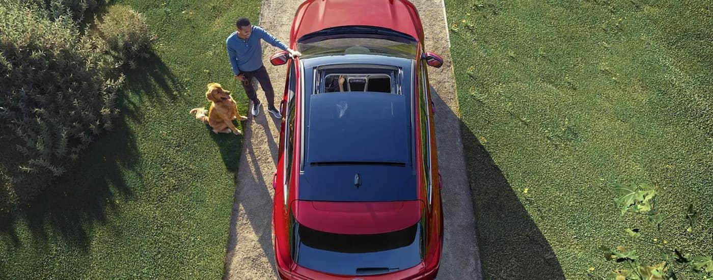 A red 2023 Ford Escape is shown from a top view while parked in a driveway.