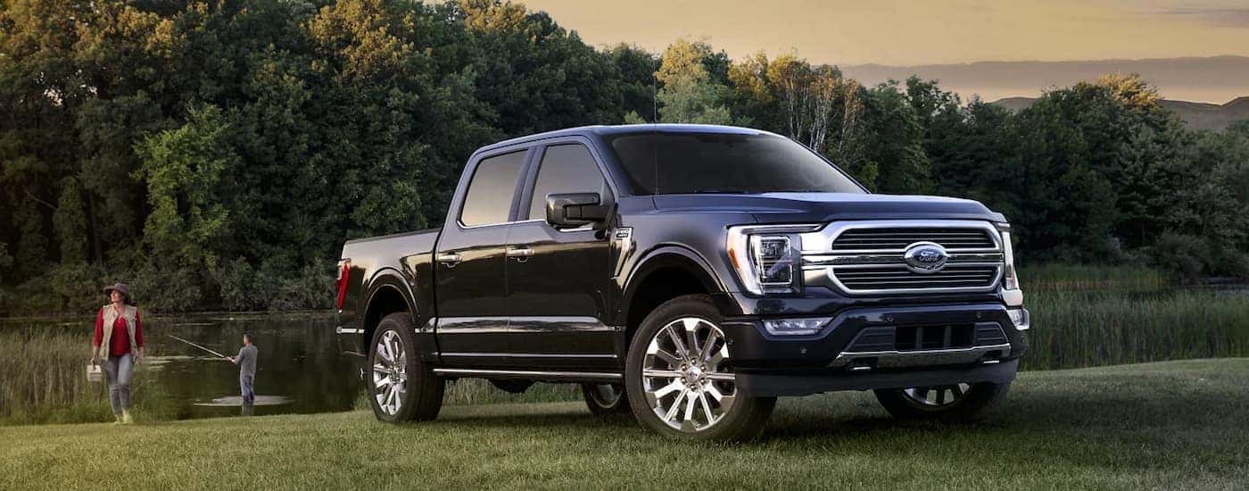 A black 2023 Ford F-150 is shown parked on grass near a fishing pond.