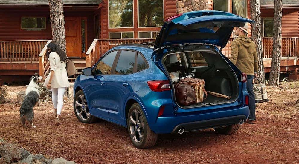 A blue 2023 Ford Escape ST-Line is shown from the rear parked near a cabin in the woods.