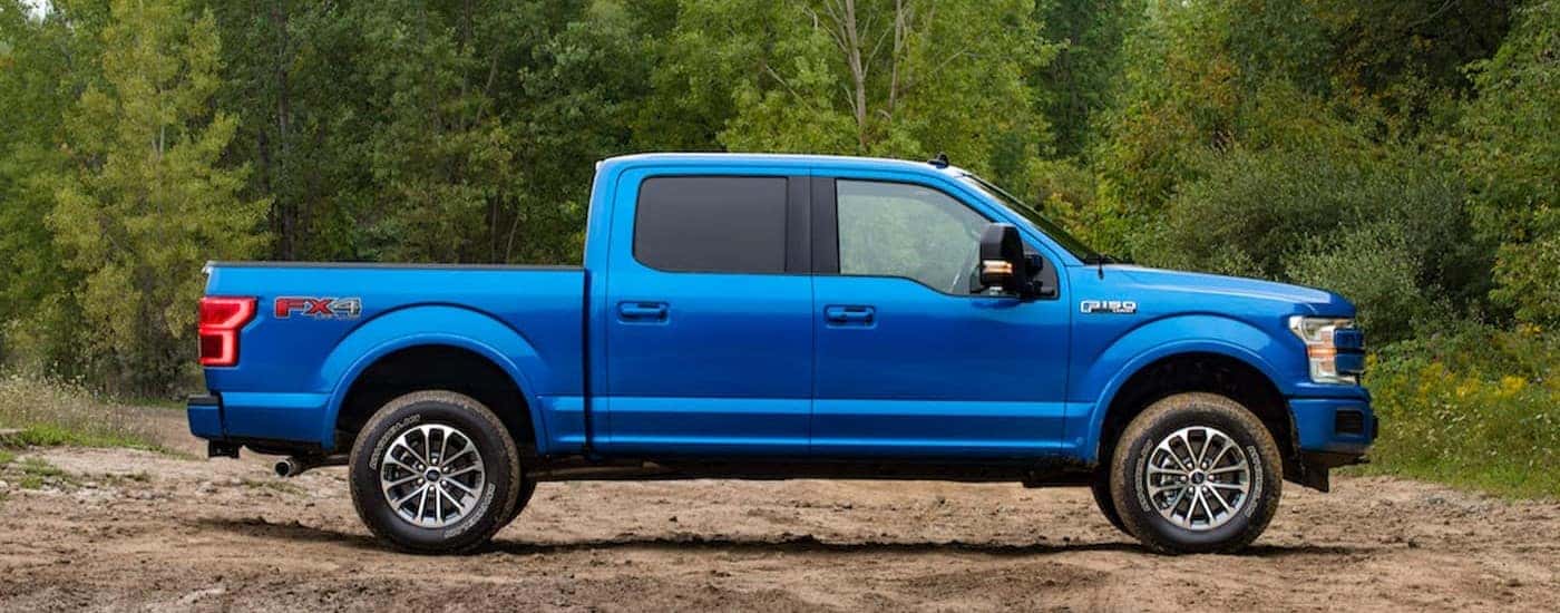 A blue 2019 Ford F-150 FX4 is shown parked off-road.