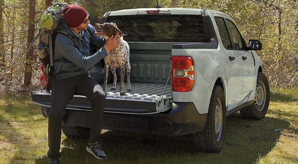 A person and a dog are shown sitting on the tailgate of a gray 2024 Ford Maverick.