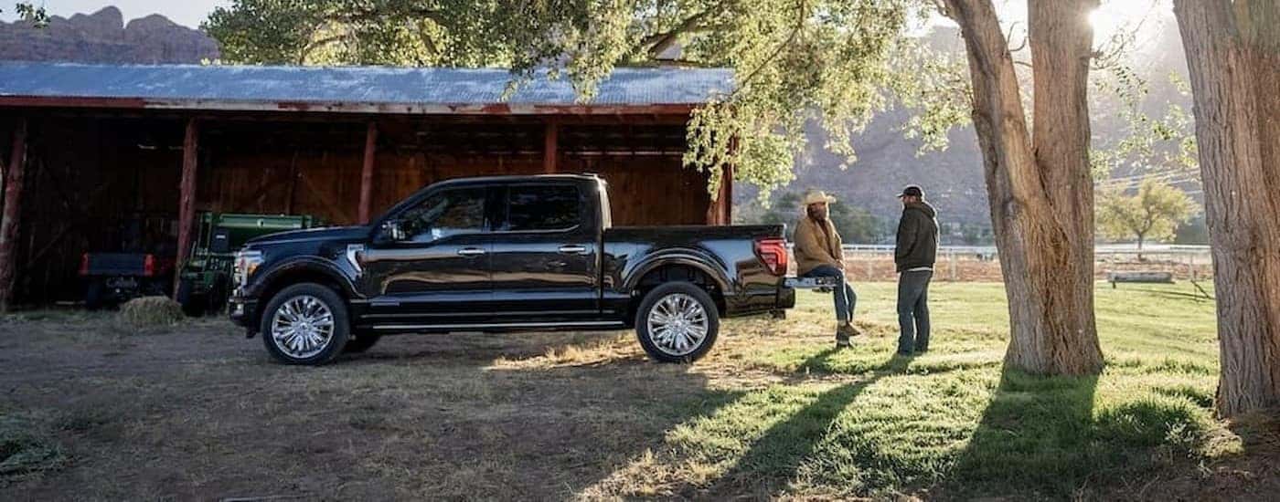 A black 2025 Ford F-150 parked on a ranch.