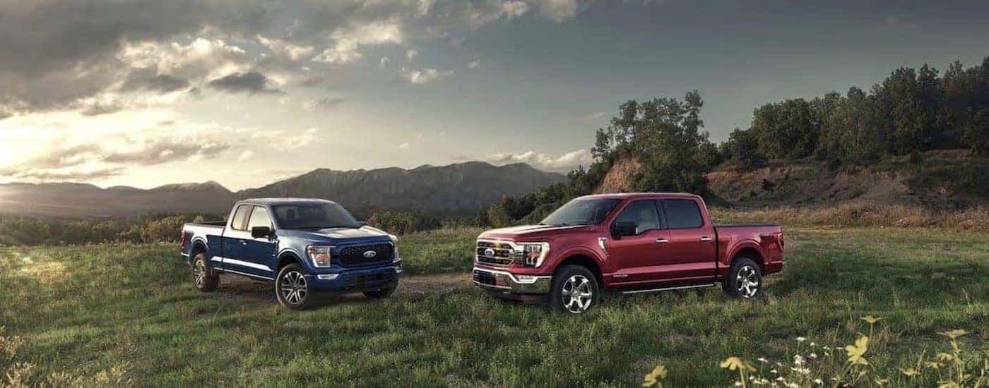 A blue and a red 2021 Ford F-150 parked on grass.