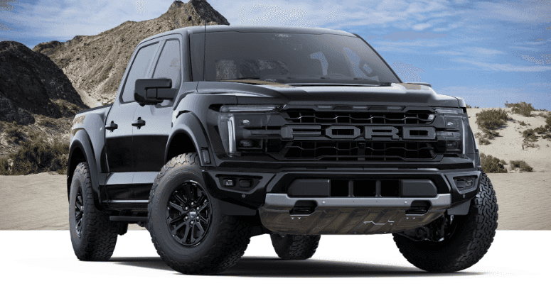 Raptor with mountain backdrop