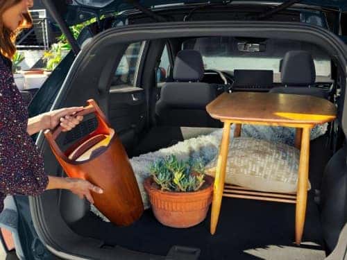 2025 Ford Escape view of cargo area full of gardening supplies