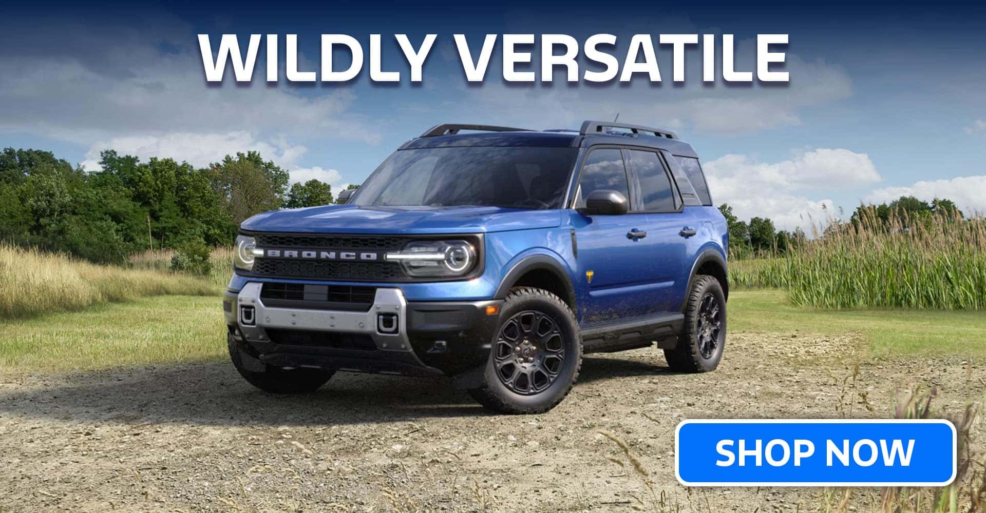 2026 Ford Bronco Sport 2026 Ford Bronco Sport Catskill NY