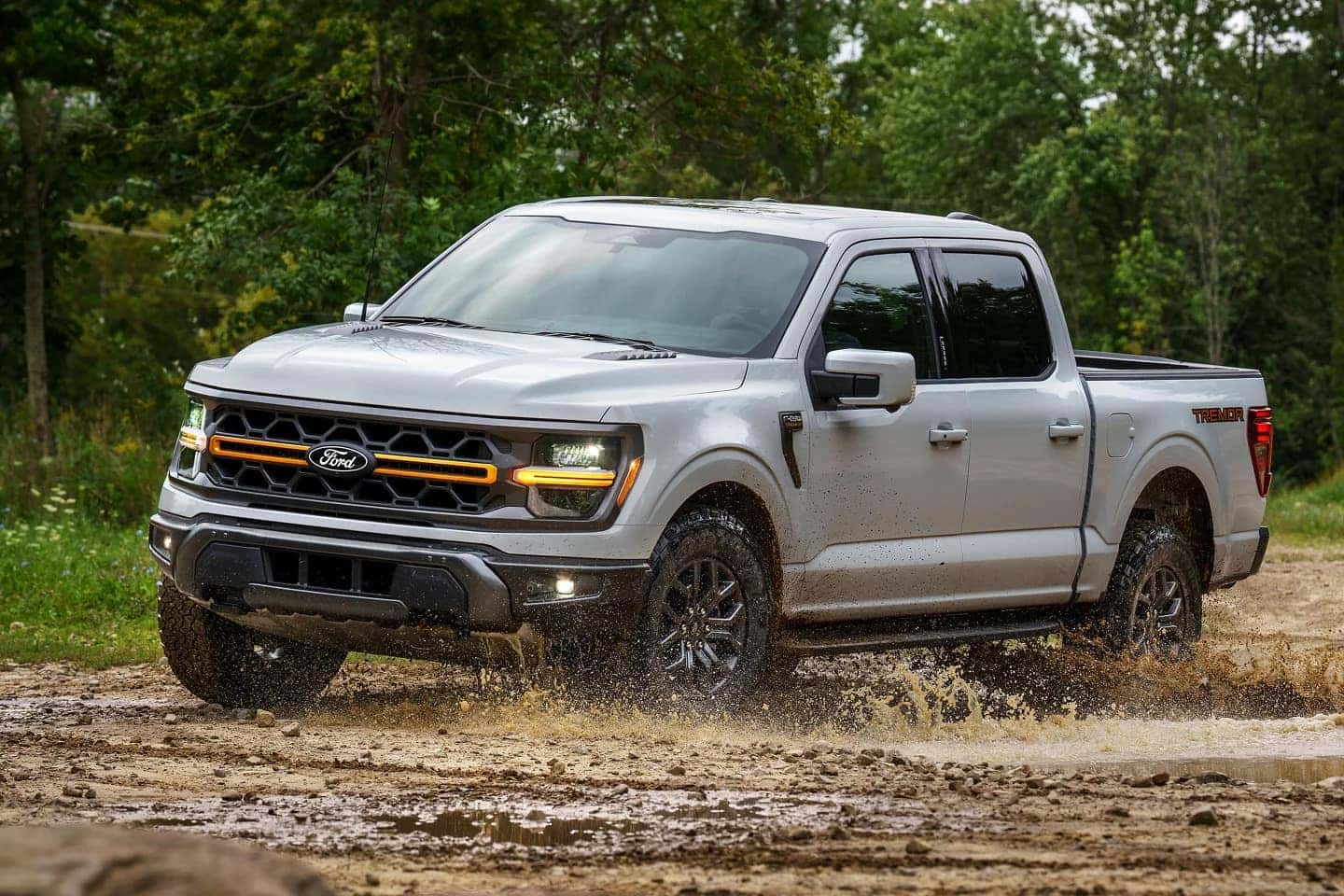 Gray Ford F-150 driving through the mud.