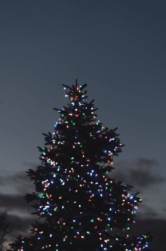 Macon, GA Christmas tree contrasting against the night sky.