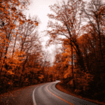 Scenic highway drive outside of Macon, GA